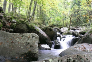 Full-Day Vitosha and Cherni Vruh Peak Hiking Tour