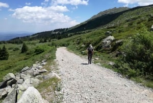Heldagsvandring i Vitosha och Cherni Vruh Peak