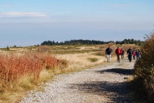 Randonnée d'une journée complète à Vitosha et au sommet de Cherni Vruh