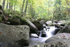 Randonnée d'une journée complète à Vitosha et au sommet de Cherni Vruh