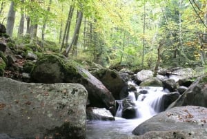 ヴィトシャ山とチェルニ・ヴルー山の終日ハイキングツアー