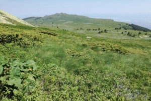 Full-Day Vitosha and Cherni Vruh Peak Hiking Tour