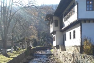 Gabrovo: Open Air Ethnographic Museum ETAR Entry Ticket