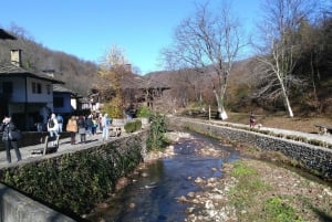 Gabrovo: Open Air Ethnographic Museum ETAR Entry Ticket