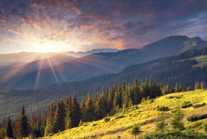 Half Day Tour - Sofia and the mountains with Thermal Spa