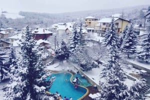 Halvdagstur - Sofia og bjergene med termisk spa