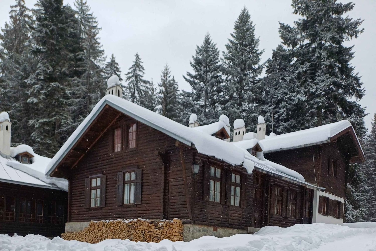 Vaellus ja kelkkailu Borovetsissa ja vierailu kuninkaalliseen Bistritsa-palatsiin