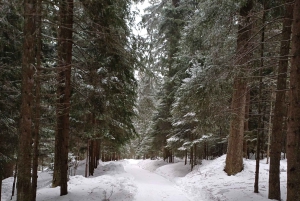 Vandretur og slæde i Borovets og besøg på det kongelige Bistritsa-palads