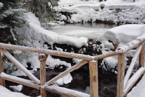 Vandretur og slæde i Borovets og besøg på det kongelige Bistritsa-palads
