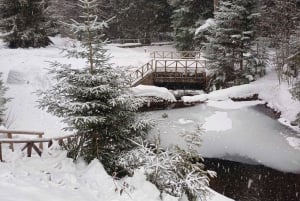 Vandretur og slæde i Borovets og besøg på det kongelige Bistritsa-palads