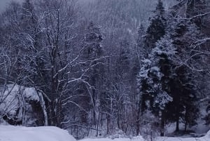 Vandretur og slæde i Borovets og besøg på det kongelige Bistritsa-palads