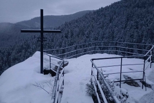 Vandretur og slæde i Borovets og besøg på det kongelige Bistritsa-palads