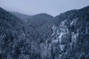 Vandretur og slæde i Borovets og besøg på det kongelige Bistritsa-palads