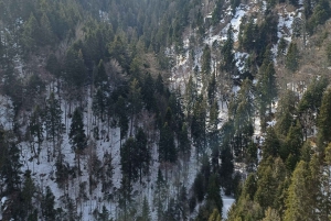 Vandretur og slæde i Borovets og besøg på det kongelige Bistritsa-palads