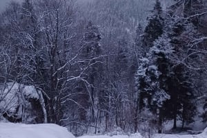 Vaellus ja kelkkailu Borovetsissa ja vierailu kuninkaalliseen Bistritsa-palatsiin