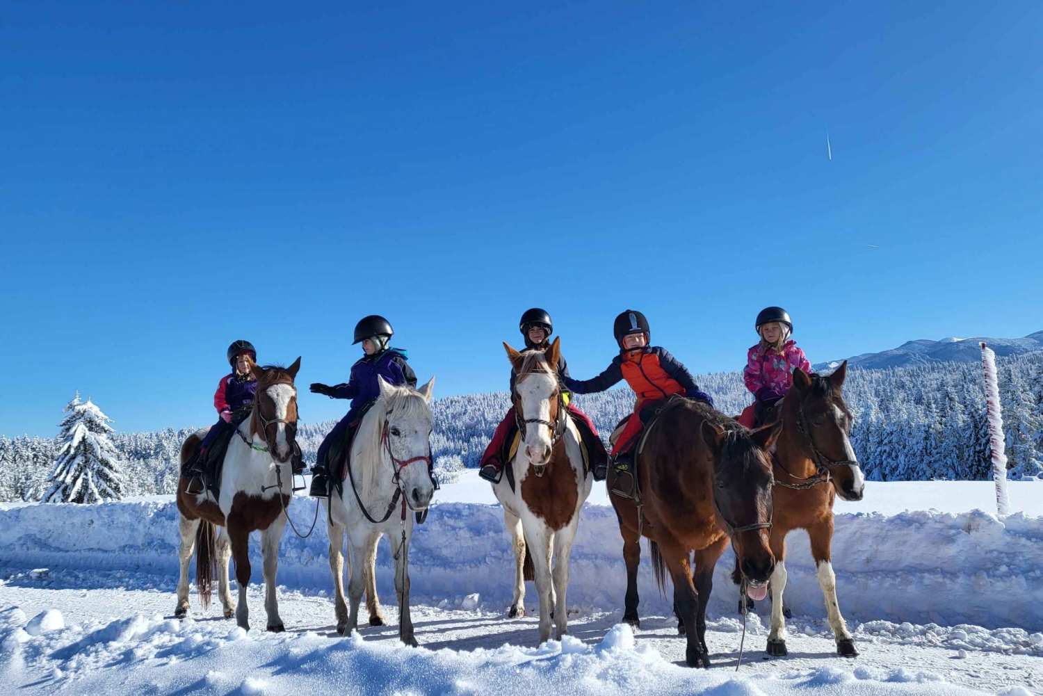 Excursion d'une journée à cheval dans la montagne de Rila