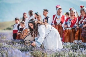 Karlovo: Skip the Line Tickets to Karlovo Lavender Festival