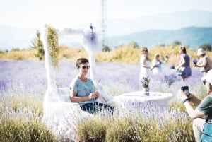 Karlovo: Skip the Line Tickets to Karlovo Lavender Festival