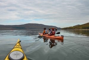 Kayaking day tour at Stamboliski dam lake