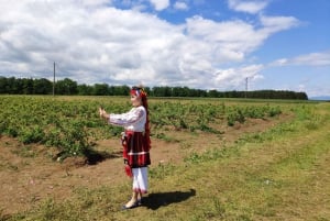 Kazanlak: Acesso VIP à Festa das Rosas 2025