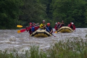 Lakatnik: Rafting på Iskar-floden