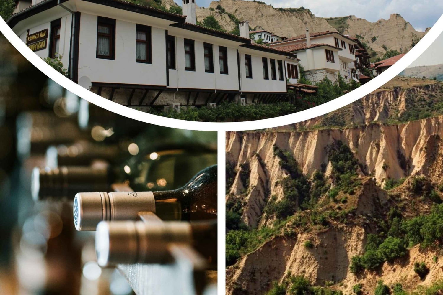 Винный тур Мельник