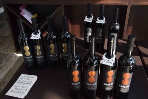 Wycieczka winna Melnik