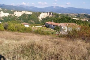 Винный тур Мельник