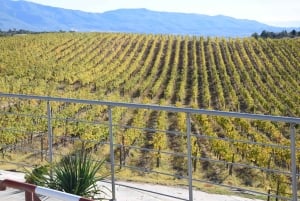 Винный тур Мельник