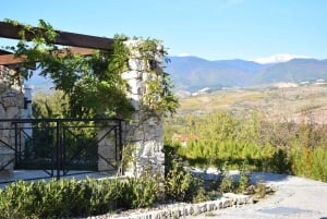 Винный тур Мельник