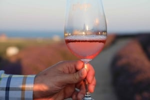Nessebar : visite guidée en anglais avec dégustation de vin