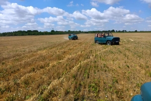 Obzor: Jeep Safari with Honey Tasting and Lunch