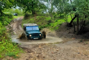 Obzor: Jeep Safari with Honey Tasting and Lunch