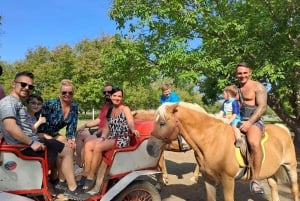 Sunny Beach: Off-road Adventure with Lunch and Drinks