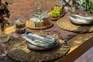 Picnic with a View: Belogradchik's Breathtaking Romance