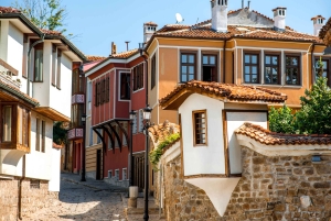Plovdiv och Bachkovo: Privat dagsutflykt från Sofia