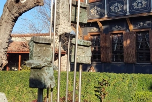 Plovdiv: Tour classico di un giorno da Sofia