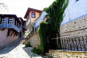 Plovdiv Private Day Trip with Traditional Lunch from Sofia
