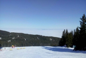 Private Day Trip to Vitosha Mountain: Winter Sports and Spa