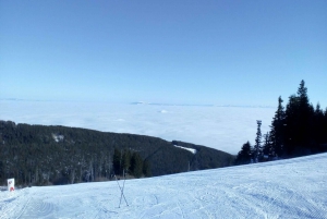 Private Day Trip to Vitosha Mountain: Winter Sports and Spa