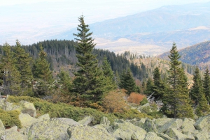Private Heritage and Hiking Tour in the Vitosha Mountain