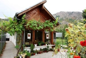 Sandanski — Balnéo, vin et retraite spirituelle (9 jours)