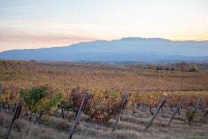 Sandanski — Balnéo, vin et retraite spirituelle (9 jours)