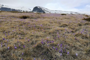 Seven Rila Lakes, Day Trip from Sofia