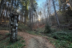 少人数グループ：ソフィアからキュステンディル要塞とセコイア公園へ
