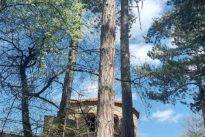 少人数グループ：ソフィアからキュステンディル要塞とセコイア公園へ