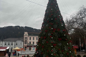 少人数グループ：ソフィアからキュステンディル要塞とセコイア公園へ