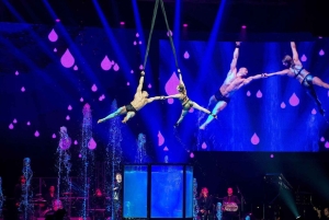 Sofia: 05.12.2026 Bilet na show Night of the Stars + więcej