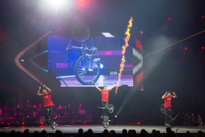 Sofia: 05.12.2026 Bilet na show Night of the Stars + więcej