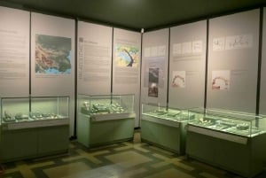 Sofia: Archaeology and History Museum Guided Tour